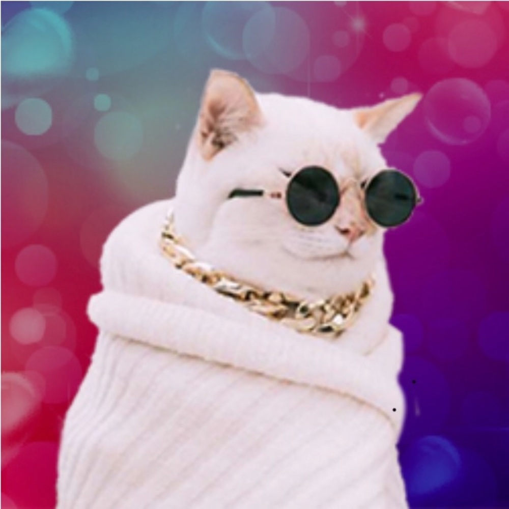 Meet your Posher, Laura